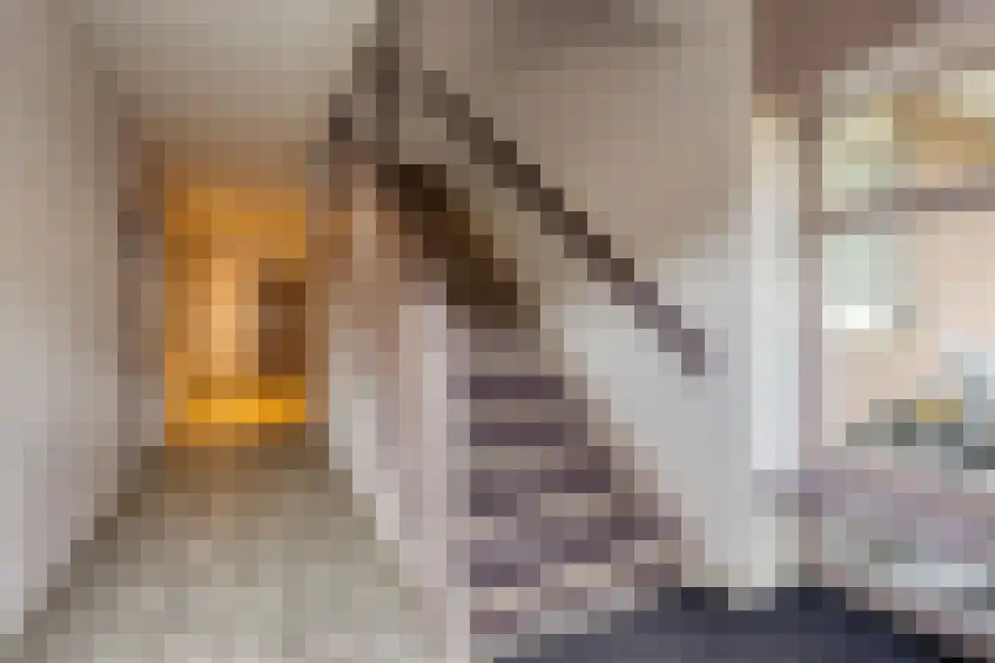 Nieuwe Tielseweg 20 13 Tiel thumbnail 8