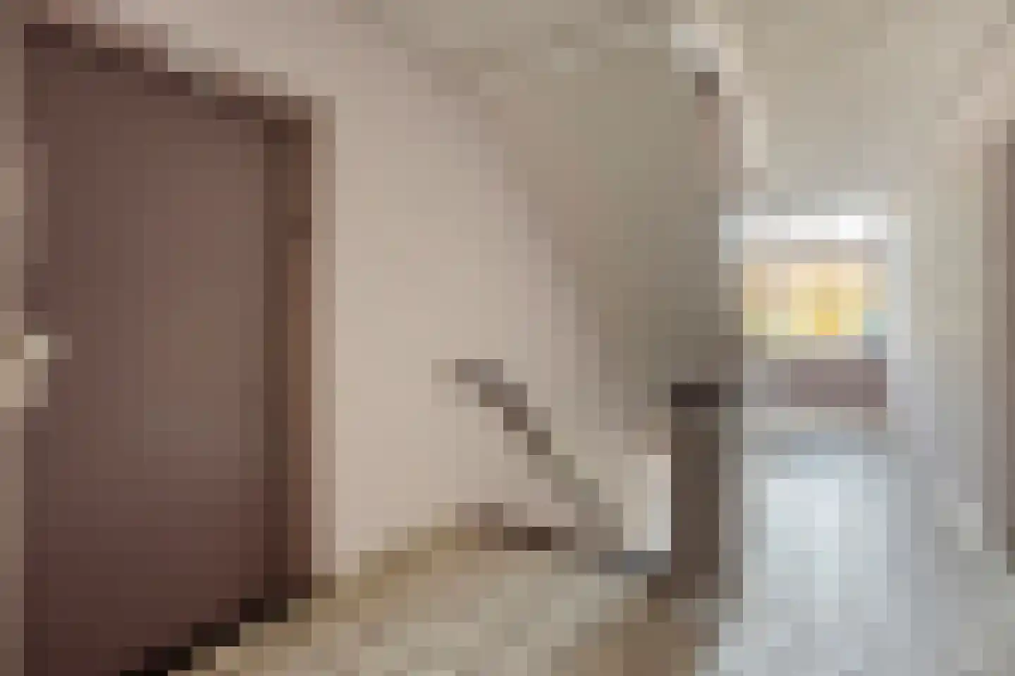 Nieuwe Tielseweg 20 13 Tiel thumbnail 9