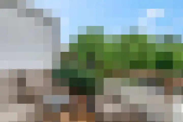 Nieuwe Tielseweg 20 33 Tiel thumbnail 10