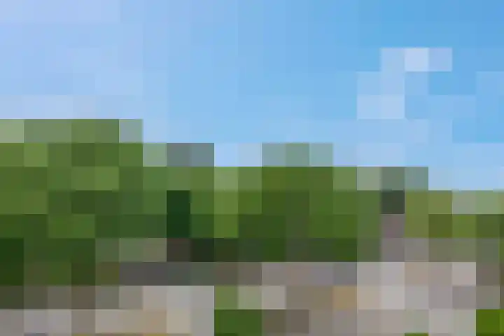 Nieuwe Tielseweg 20 33 Tiel thumbnail 11