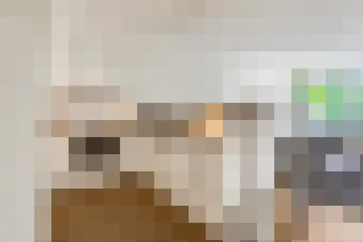 Nieuwe Tielseweg 20 33 Tiel thumbnail 12