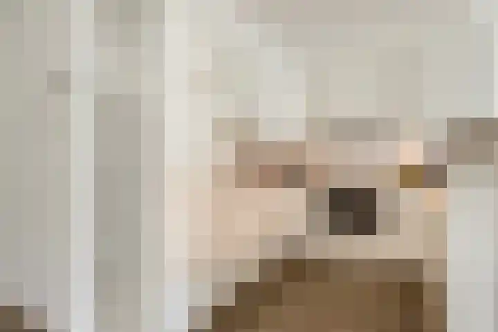 Nieuwe Tielseweg 20 33 Tiel thumbnail 13