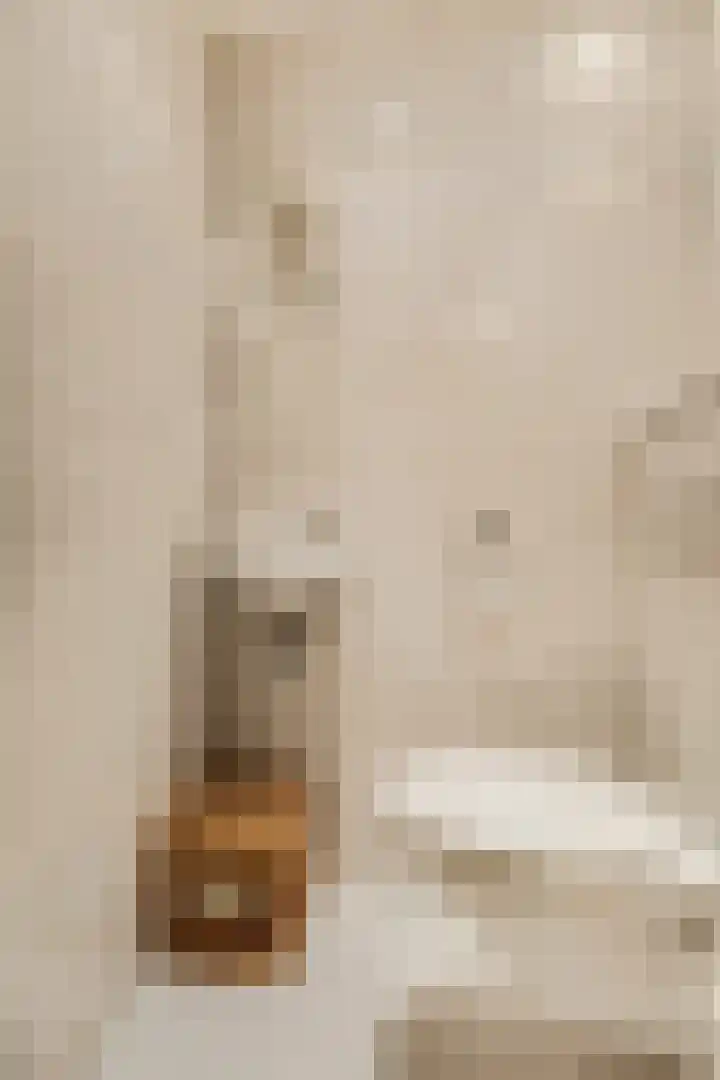 Nieuwe Tielseweg 20 33 Tiel thumbnail 14