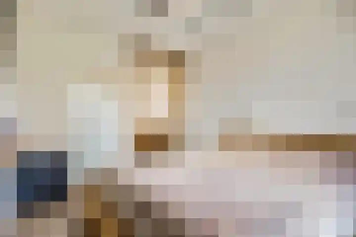 Nieuwe Tielseweg 20 33 Tiel thumbnail 15