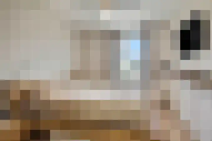 Nieuwe Tielseweg 20 33 Tiel thumbnail 16