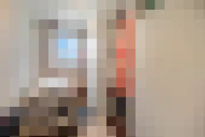 Nieuwe Tielseweg 20 33 Tiel thumbnail 17
