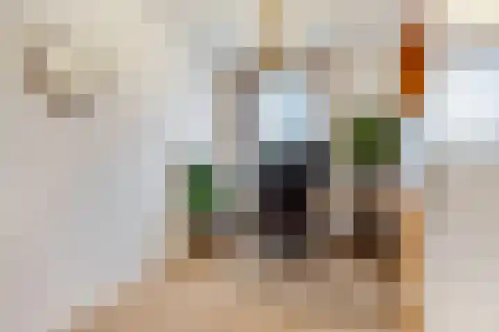 Nieuwe Tielseweg 20 33 Tiel thumbnail 18