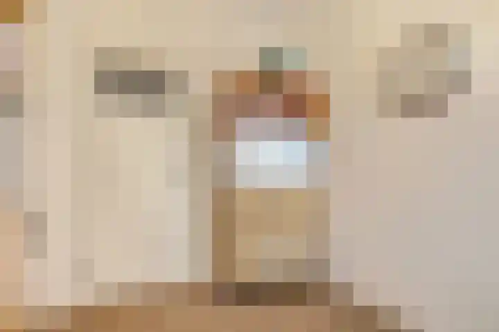 Nieuwe Tielseweg 20 33 Tiel thumbnail 19