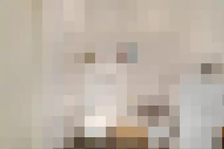 Nieuwe Tielseweg 20 33 Tiel thumbnail 20