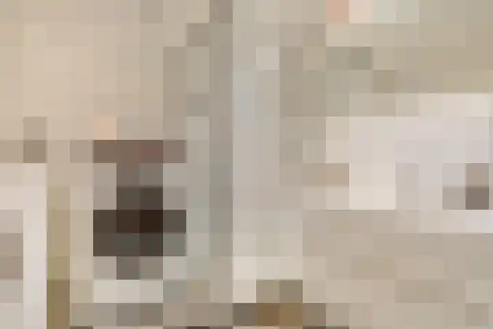 Nieuwe Tielseweg 20 33 Tiel thumbnail 21