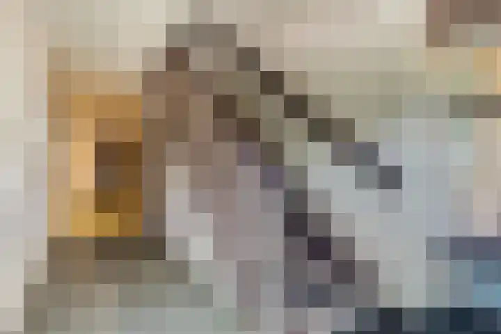 Nieuwe Tielseweg 20 33 Tiel thumbnail 22
