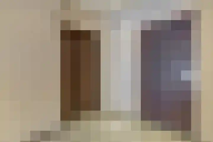 Nieuwe Tielseweg 20 33 Tiel thumbnail 23