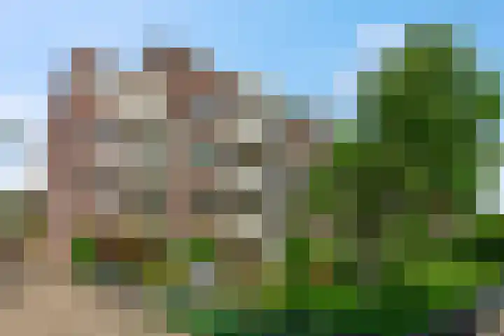 Nieuwe Tielseweg 20 33 Tiel thumbnail 27