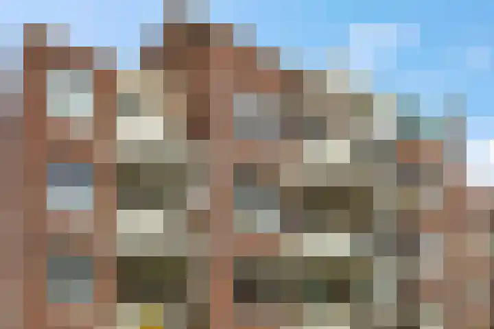 Nieuwe Tielseweg 20 33 Tiel thumbnail 28