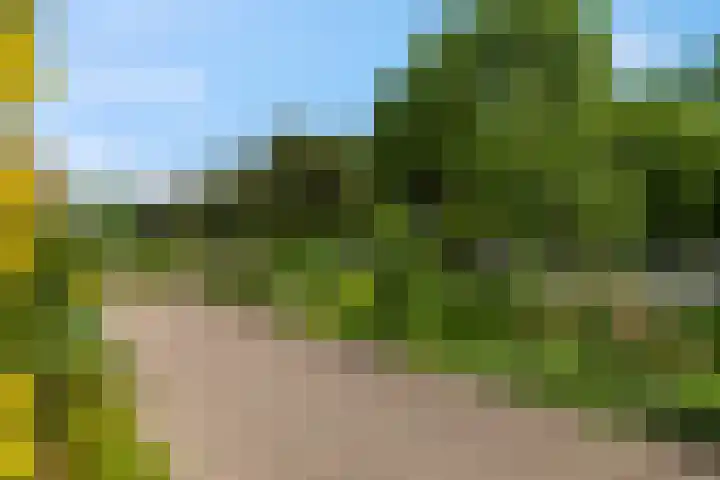 Nieuwe Tielseweg 20 33 Tiel thumbnail 4