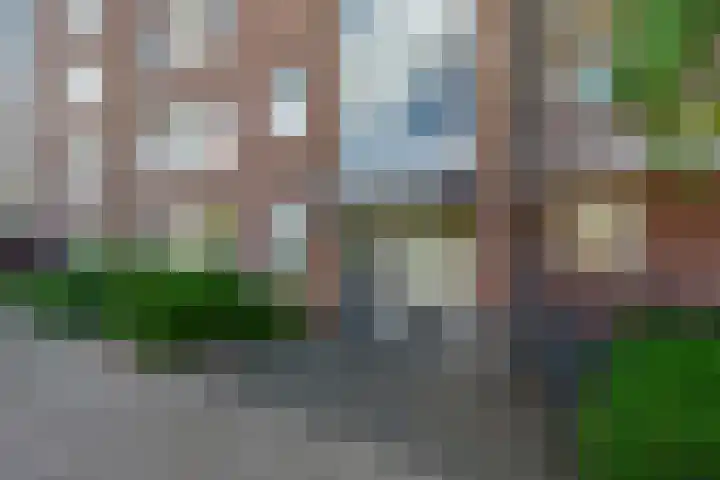 Nieuwe Tielseweg 20 33 Tiel thumbnail 5
