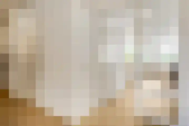 Nieuwe Tielseweg 20 33 Tiel thumbnail 6