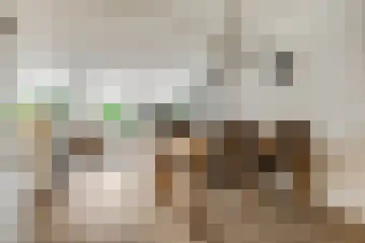 Nieuwe Tielseweg 20 33 Tiel thumbnail 7