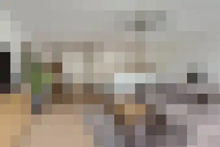 Nieuwe Tielseweg 20 33 Tiel thumbnail 8