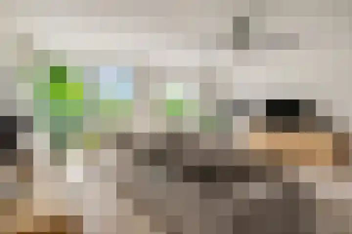 Nieuwe Tielseweg 20 33 Tiel thumbnail 9