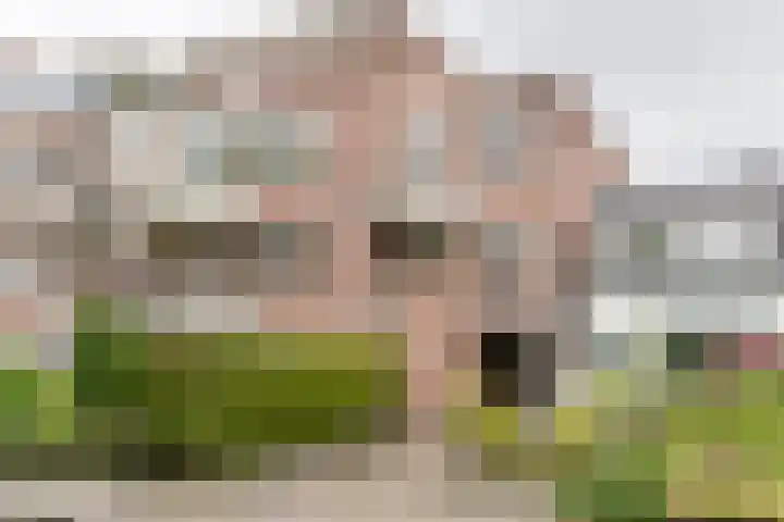 Nieuwe Tielseweg 24 13 Tiel