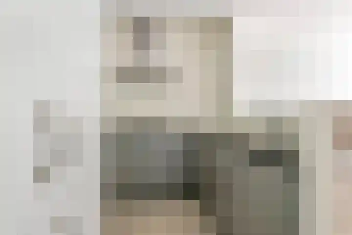 Nieuwe Tielseweg 24 13 Tiel thumbnail 10