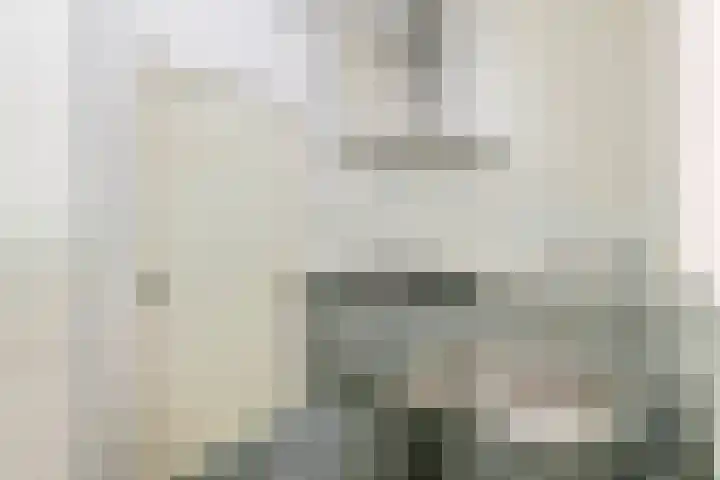 Nieuwe Tielseweg 24 13 Tiel thumbnail 11