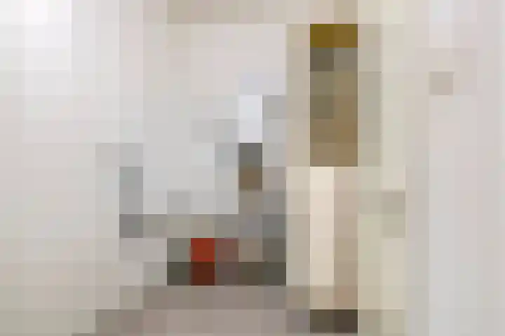 Nieuwe Tielseweg 24 13 Tiel thumbnail 13