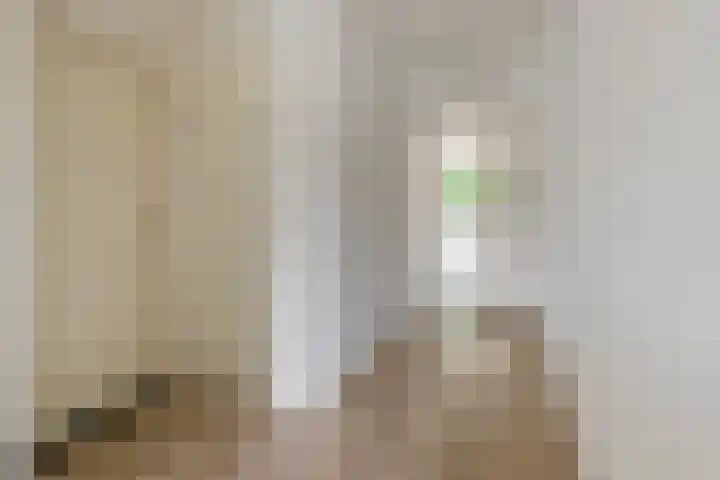 Nieuwe Tielseweg 24 13 Tiel thumbnail 14
