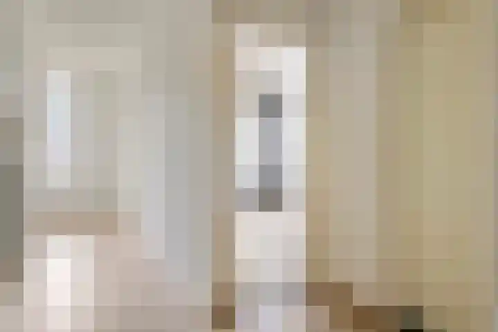 Nieuwe Tielseweg 24 13 Tiel thumbnail 15