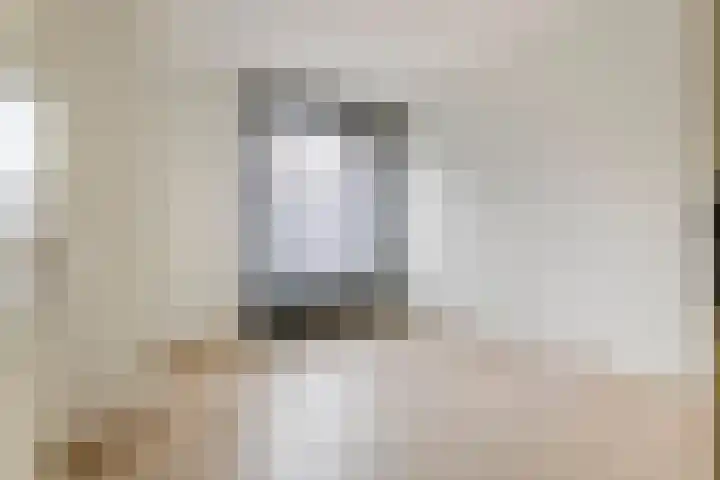 Nieuwe Tielseweg 24 13 Tiel thumbnail 16