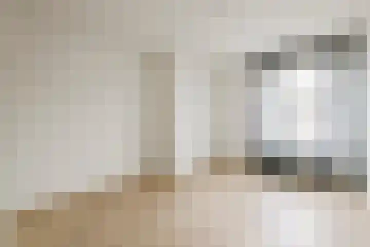 Nieuwe Tielseweg 24 13 Tiel thumbnail 17