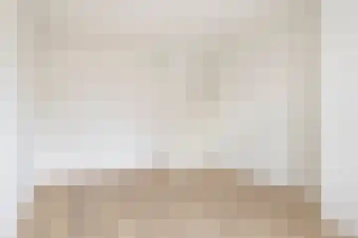 Nieuwe Tielseweg 24 13 Tiel thumbnail 18
