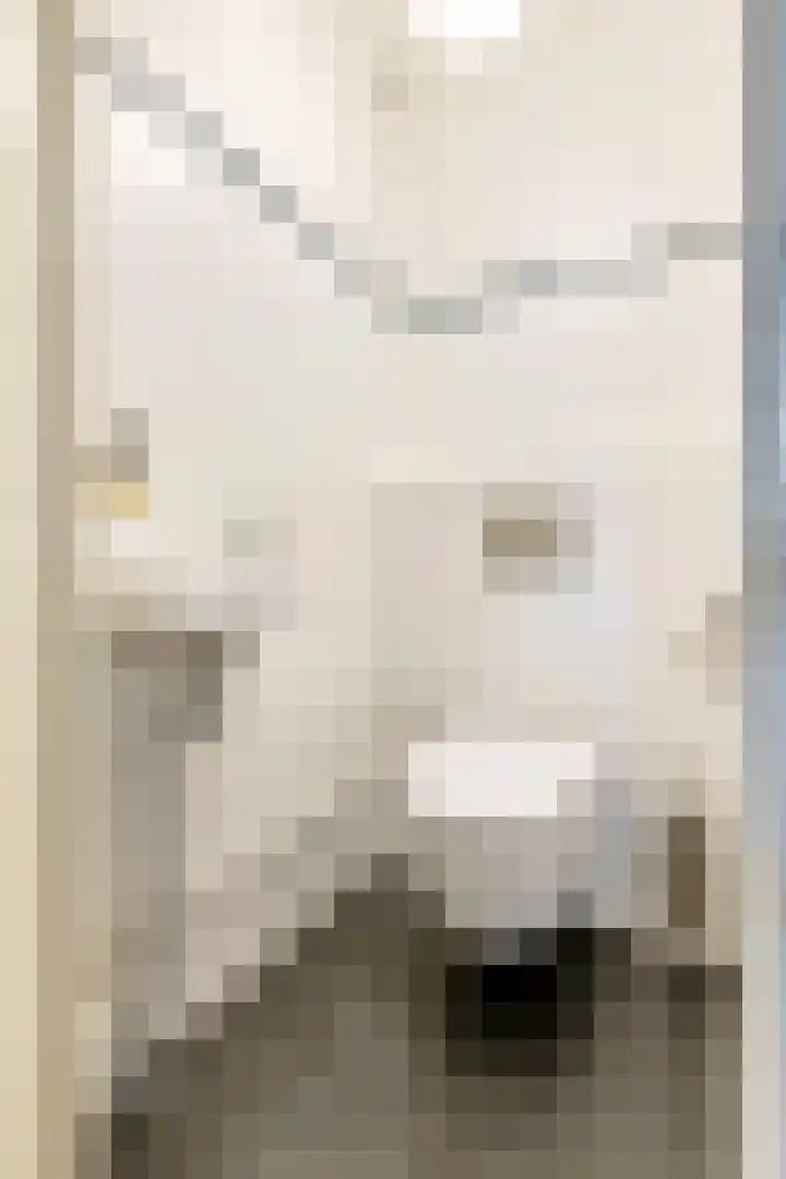 Nieuwe Tielseweg 24 13 Tiel thumbnail 20