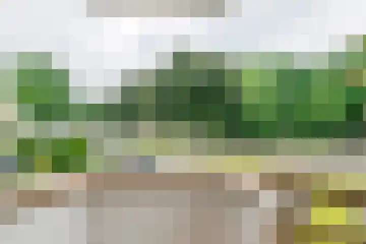 Nieuwe Tielseweg 24 13 Tiel thumbnail 21
