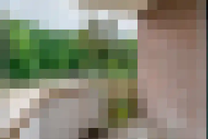 Nieuwe Tielseweg 24 13 Tiel thumbnail 22
