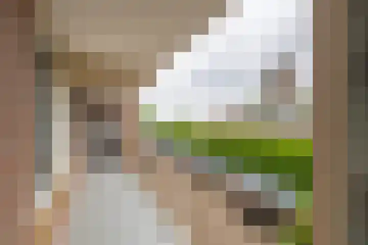 Nieuwe Tielseweg 24 13 Tiel thumbnail 23