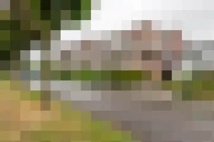 Nieuwe Tielseweg 24 13 Tiel thumbnail 24