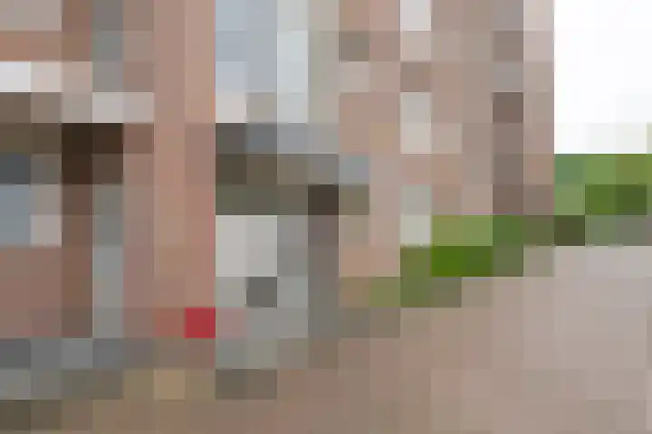 Nieuwe Tielseweg 24 13 Tiel thumbnail 4