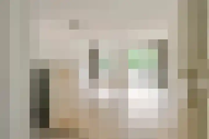 Nieuwe Tielseweg 24 13 Tiel thumbnail 5