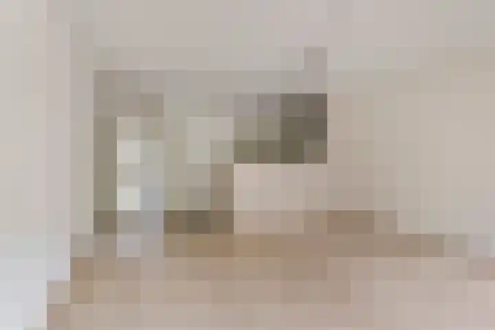 Nieuwe Tielseweg 24 13 Tiel thumbnail 6
