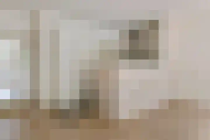 Nieuwe Tielseweg 24 13 Tiel thumbnail 8