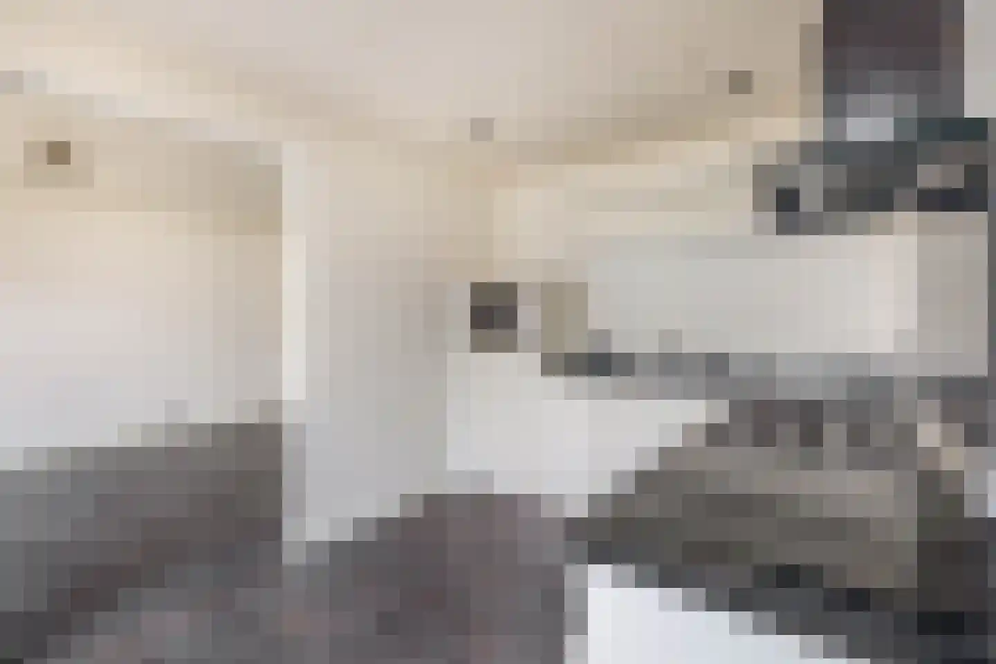 Nieuwe Tielseweg 34 Tiel thumbnail 10