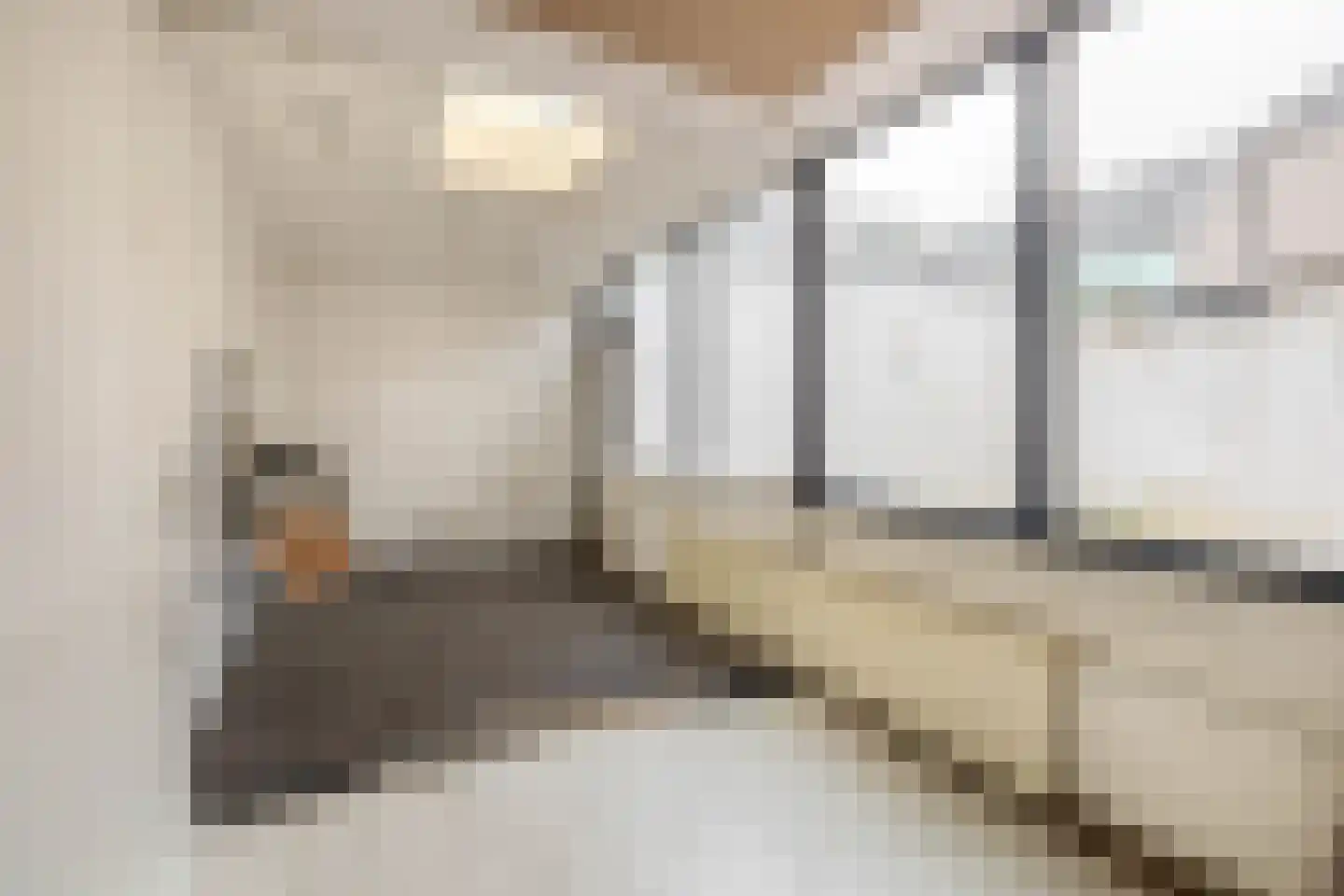 Nieuwe Tielseweg 34 Tiel thumbnail 14