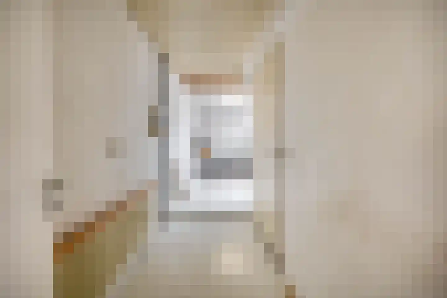 Nieuwe Tielseweg 34 Tiel thumbnail 15