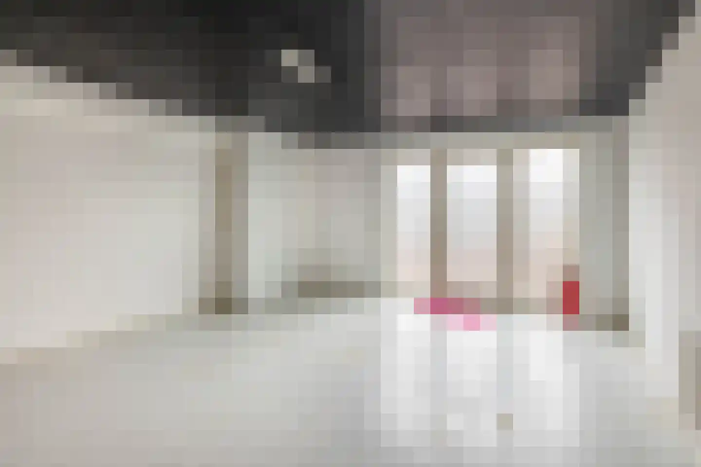 Nieuwe Tielseweg 34 Tiel thumbnail 16