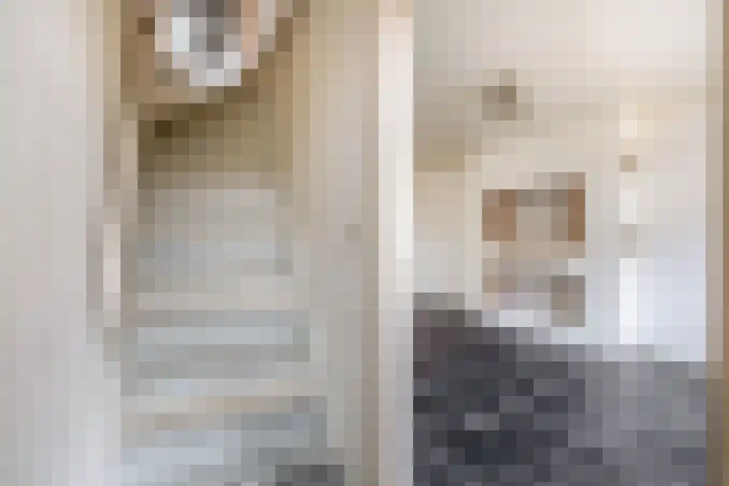 Nieuwe Tielseweg 34 Tiel thumbnail 17
