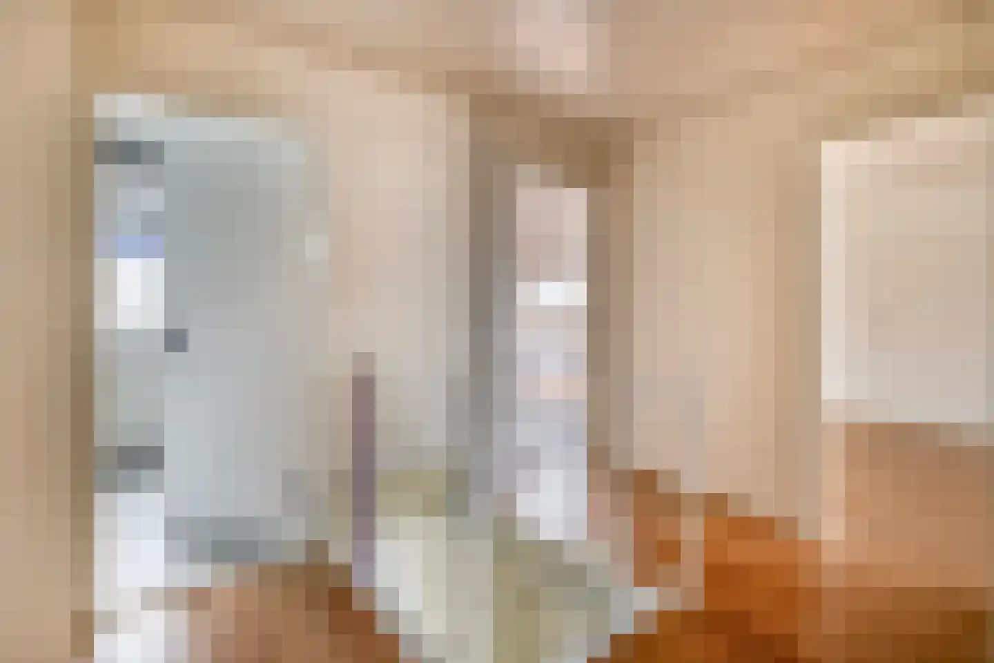 Nieuwe Tielseweg 34 Tiel thumbnail 18