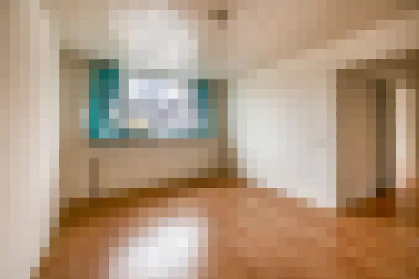 Nieuwe Tielseweg 34 Tiel thumbnail 20