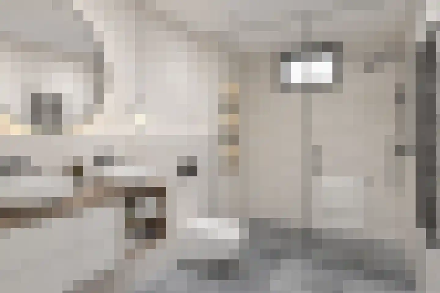 Nieuwe Tielseweg 34 Tiel thumbnail 21